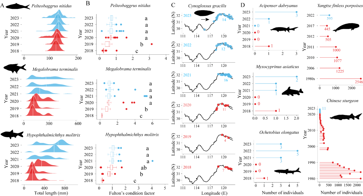 球盟会(中国)研究揭示长江“十年禁渔”促进生物多样性恢复的生态机制
